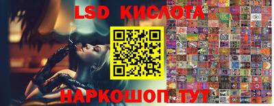 spice Донской