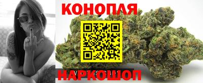 сатива Донецк