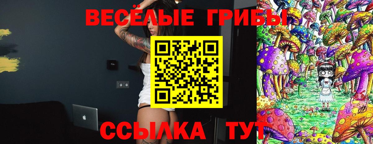 Псилоцибиновые грибы прущие грибы Лысьва