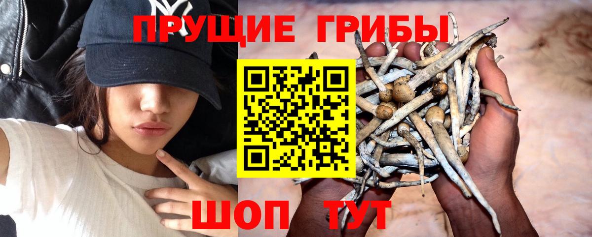 Псилоцибиновые грибы MAGIC MUSHROOMS  Вход с VPN  Галлюциногенные грибы Cubensis  Лысьва 